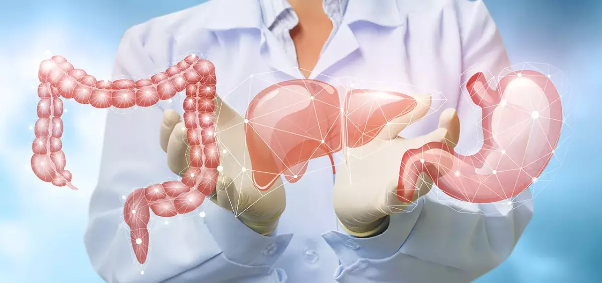 Leber entgiften – in Kombination mit einer Darmreinigung noch wirkungsvoller